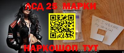 спайс Аргун