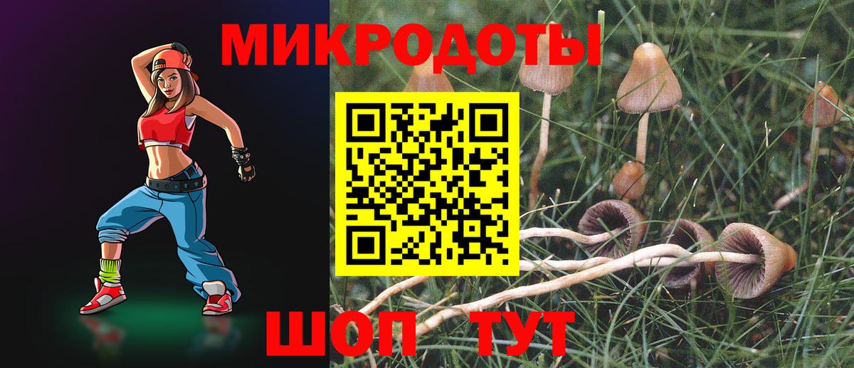 Галлюциногенные грибы мицелий Большой Камень